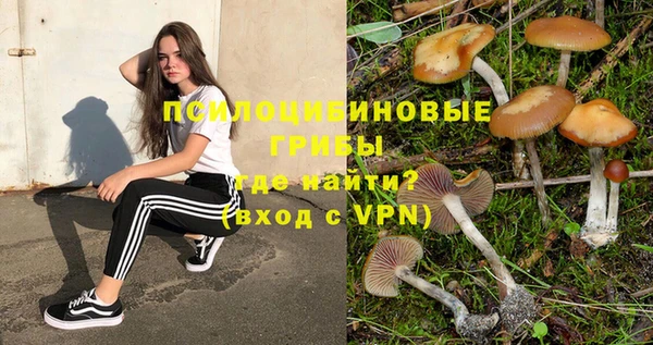 соль курить ск Зеленодольск