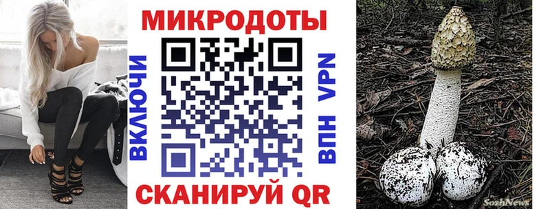 Псилоцибиновые грибы ЛСД  Купить закладки  Галич 